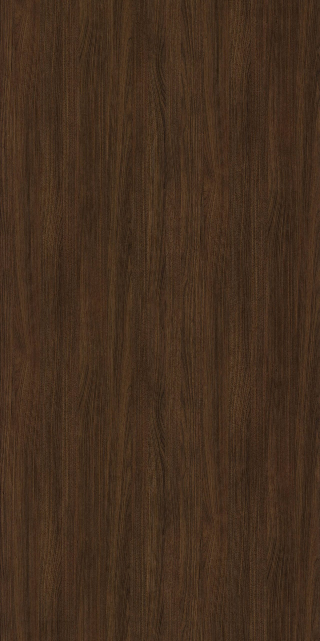 9061