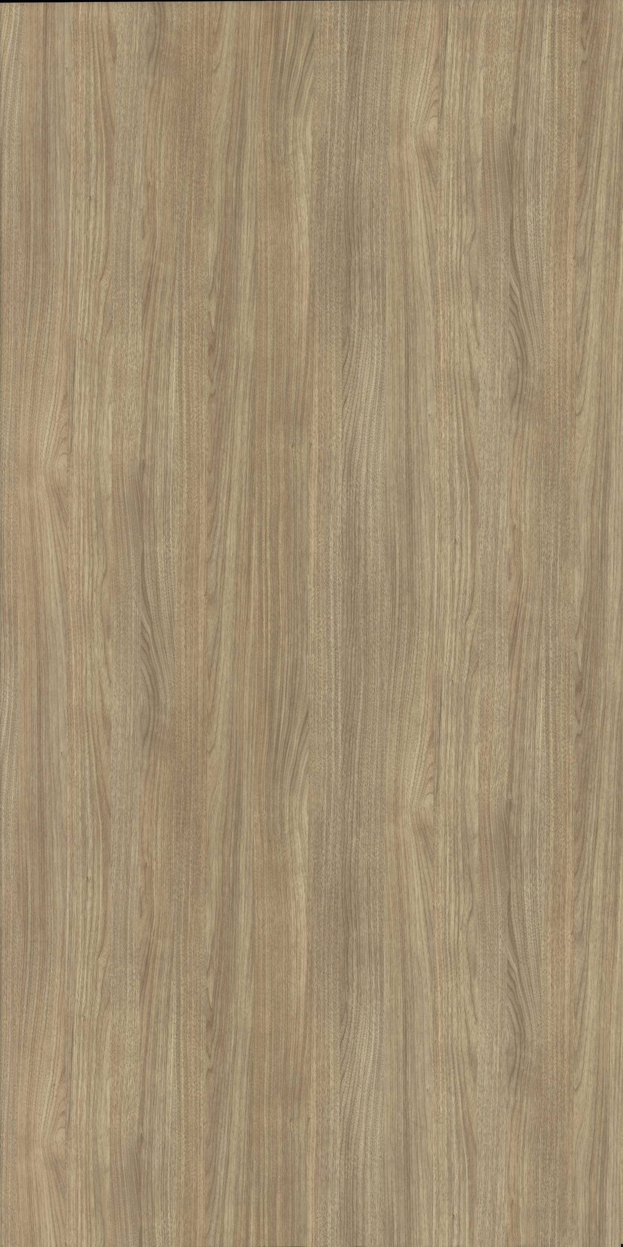 9062