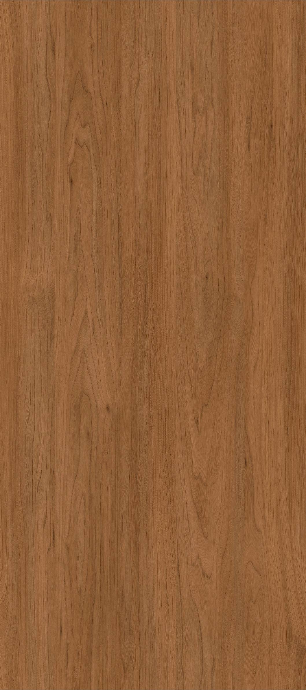 9069