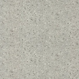 9079